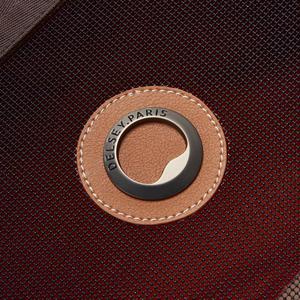 product/d/e/delsey_00167617006_mag4275782_5.jpg