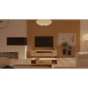 TV-meubel met 2 openslaande deuren en 1 lade Demeyere Stoik image-3