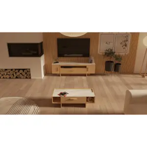 TV-meubel met 2 openslaande deuren en 1 lade Demeyere Stoik image-2
