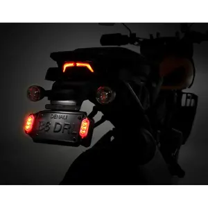 Kabelbündel DENALI Cansmart Gen II Harley Davidson Pan America 1250 image-6