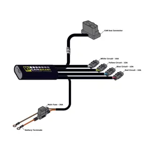 Controller DENALI Cansmart Gen II TIGER 900 GT image-5