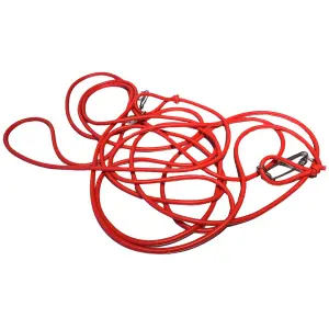 buoy elastic Denty Spearfishing image-0