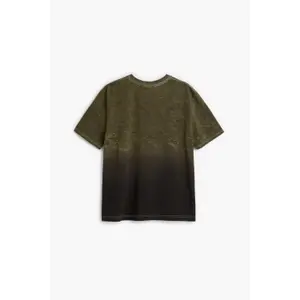 T-shirt Desigual Dragon image-1