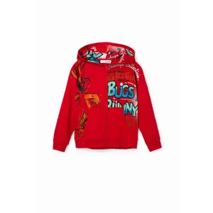 Child hoodie Desigual Bugs Bunny image-0