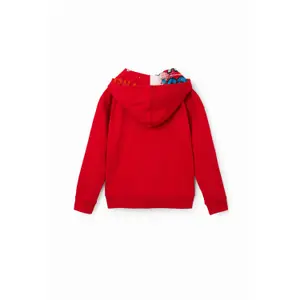 Child hoodie Desigual Bugs Bunny image-1