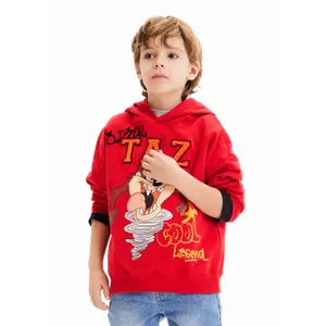 Sudadera para niños Desigual Tasmania image-2