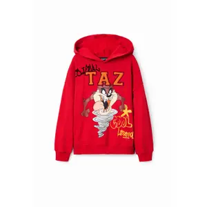 Sudadera para niños Desigual Tasmania image-0
