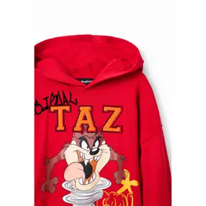 Sudadera para niños Desigual Tasmania image-5