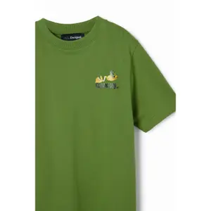 Child's T-shirt Desigual Baco image-2