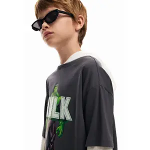 Long sleeve T-shirt Desigual Hulk image-5