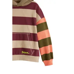 Hoodie Kinder Desigual Logan image-2