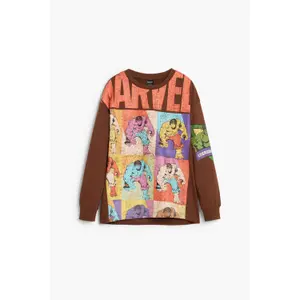 Παιδικό φούτερ Desigual Hulk Marvel image-0