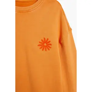 Παιδικό φούτερ Desigual Arnold image-5