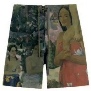 Fürdőnadrág Desigual Masterpiece