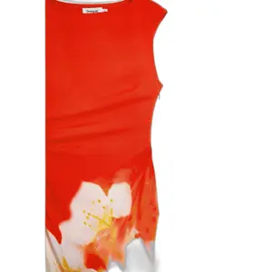 Robe femme Desigual Lida image-3