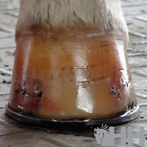 Hufpflege für Pferde Diamond Hoof Conditioner image-1