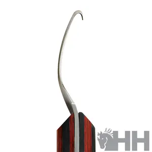 Rénette Met Linker Hak Dick Dick Champion image-1