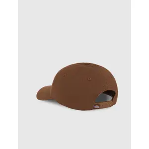 Baseball Kappe Dickies Hardwick image-2