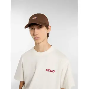 Baseball Kappe Dickies Hardwick image-3