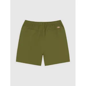 Short Dickies Pelican image-1