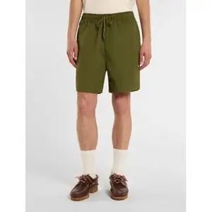 Short Dickies Pelican image-2
