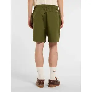 Short Dickies Pelican image-3
