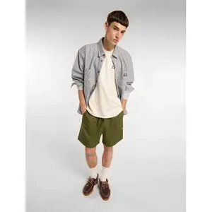 Short Dickies Pelican image-4
