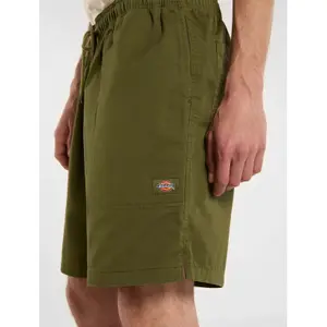 Short Dickies Pelican image-6