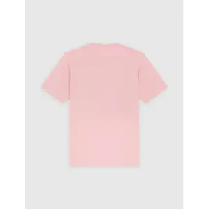 T-shirt Dickies Mapleton image-3
