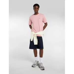 T-shirt Dickies Mapleton image-2