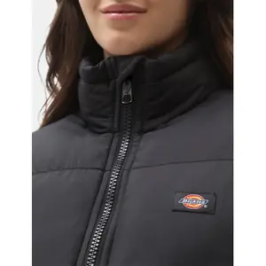 Women's down jacket Dickies Alatna image-2