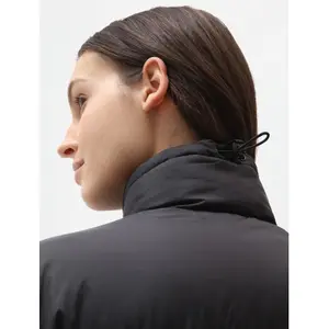 Women's down jacket Dickies Alatna image-3