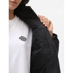 Women's down jacket Dickies Alatna image-4