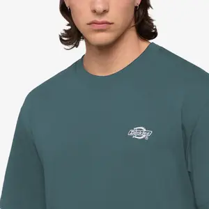T-shirt Dickies Summerdale image-5