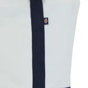 Bolsa Dickies Logo Canvas image-1