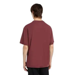 T-póló Dickies Plentywood image-1