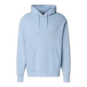 Φούτερ με κουκούλα Dickies Plentywood image-0