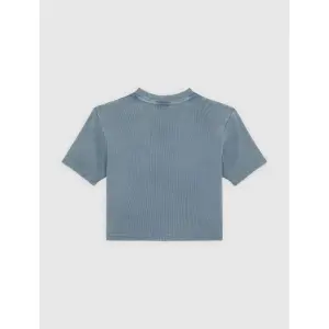Γυναικείο T-shirt Dickies Plentywood image-2