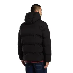 Doudoune à capuche Dickies Eagleville image-1