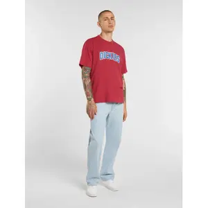 Χαλαροί τζιν Dickies 954 image-4
