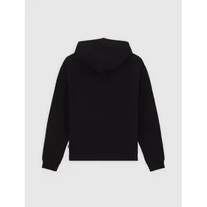 Bluza z kapturem Dickies Loose Wave image-1