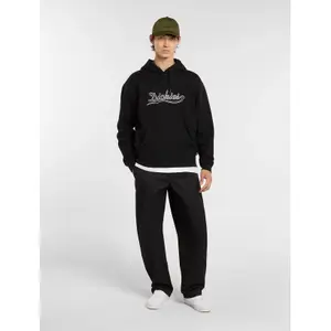 Bluza z kapturem Dickies Loose Wave image-4