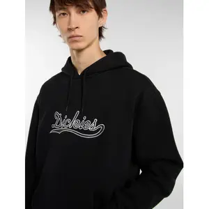 Bluza z kapturem Dickies Loose Wave image-5