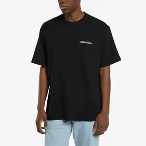 T-shirt Dickies Thornville image-1