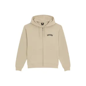 Sweatshirt à capuche full zip Dickies Bettsville Eucalyptus