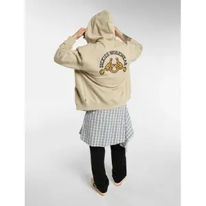 Sweatshirt à capuche full zip Dickies Bettsville Eucalyptus image-4