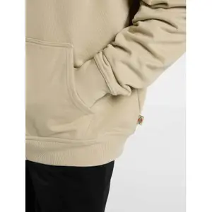 Sweatshirt à capuche full zip Dickies Bettsville Eucalyptus image-6