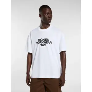 T-shirt Dickies Torrey image-1