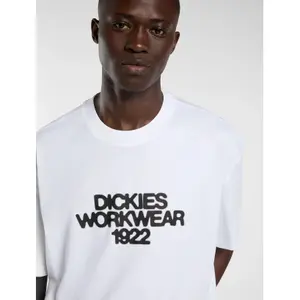 T-shirt Dickies Torrey image-5