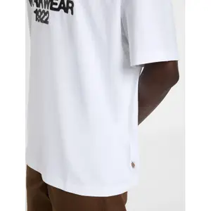 T-shirt Dickies Torrey image-6